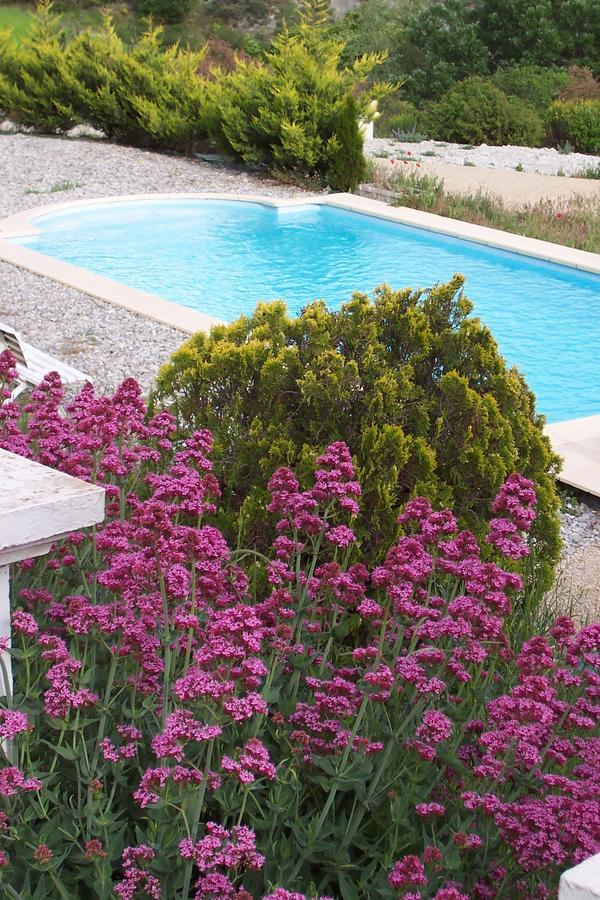 Rosans L'Ensoleillee B&B 외부 사진